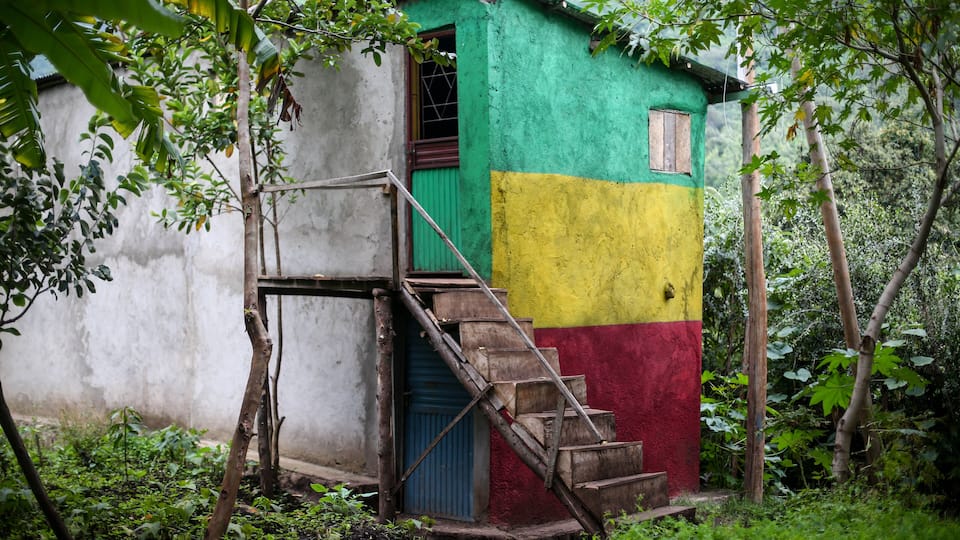 A small, colorful shack with a wooden staircase leading up to a blue door, surrounded by lush greenery.