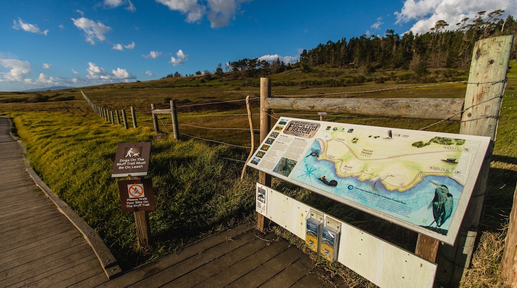 Fiscalini Ranch Preserve featuring signage and tranquil scenes