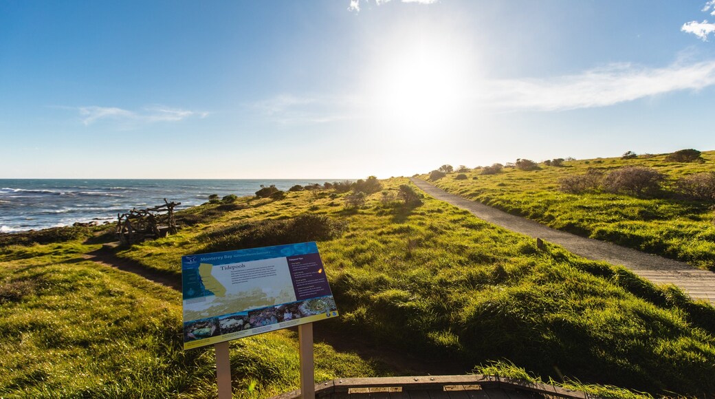 Fiscalini Ranch Preserve showing signage, a sunset and general coastal views