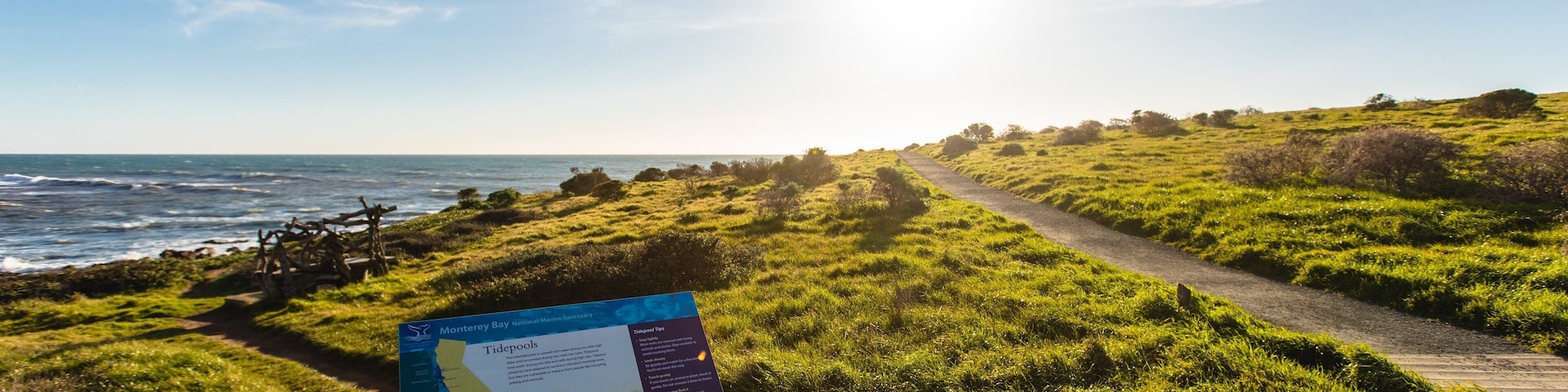 Fiscalini Ranch Preserve showing signage, a sunset and general coastal views