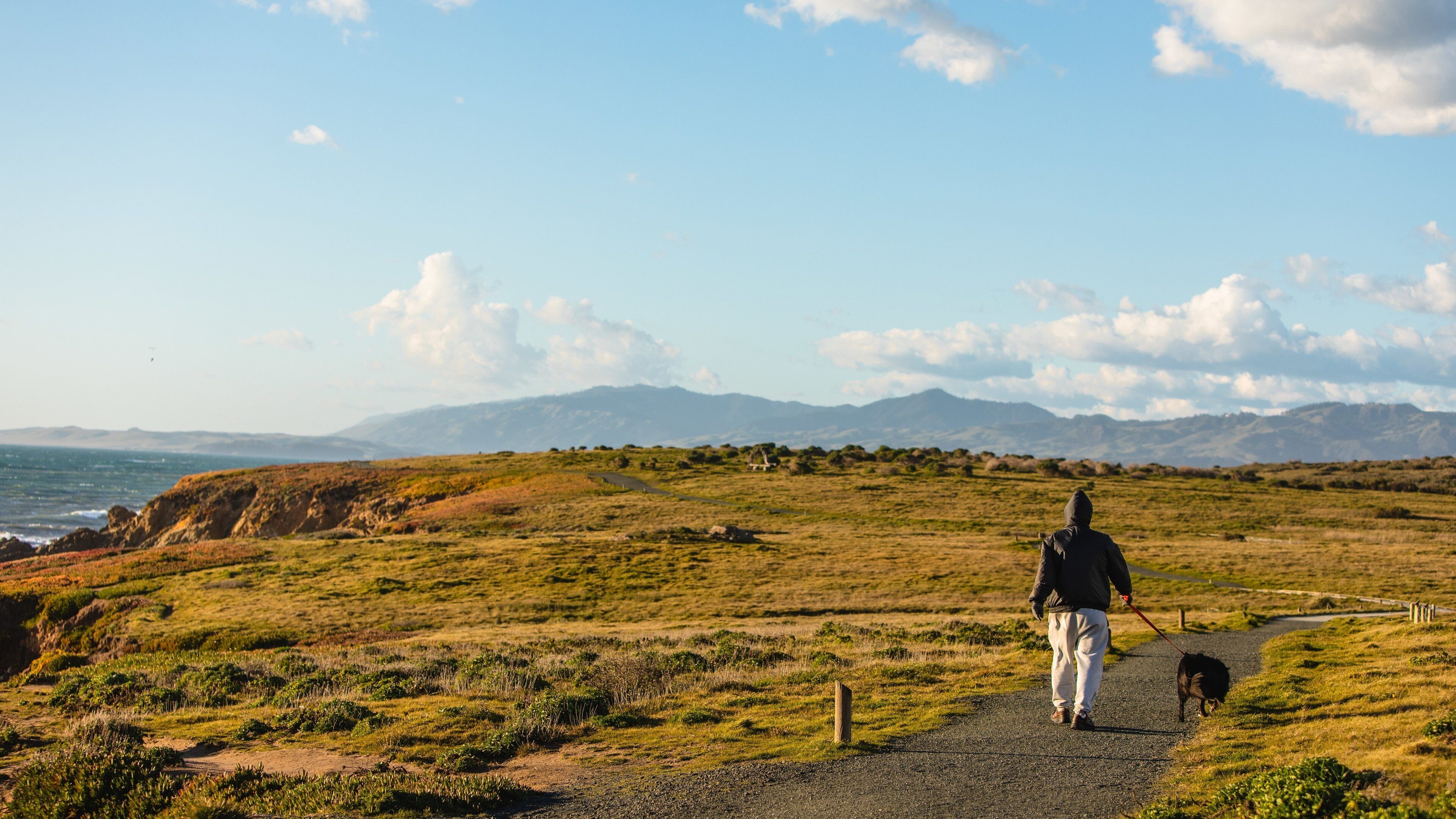 Fiscalini Ranch Preserve showing general coastal views and tranquil scenes