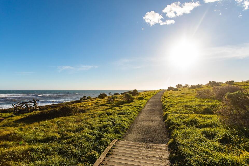 Um caminho costeiro que leva ao oceano, cercado por grama verde e arbustos.