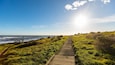Fiscalini Ranch Preserve which includes general coastal views, tranquil scenes and a sunset