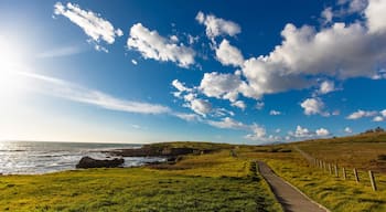 Fiscalini Ranch Preserve featuring tranquil scenes, a sunset and general coastal views