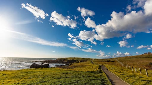 Fiscalini Ranch Preserve featuring tranquil scenes, a sunset and general coastal views