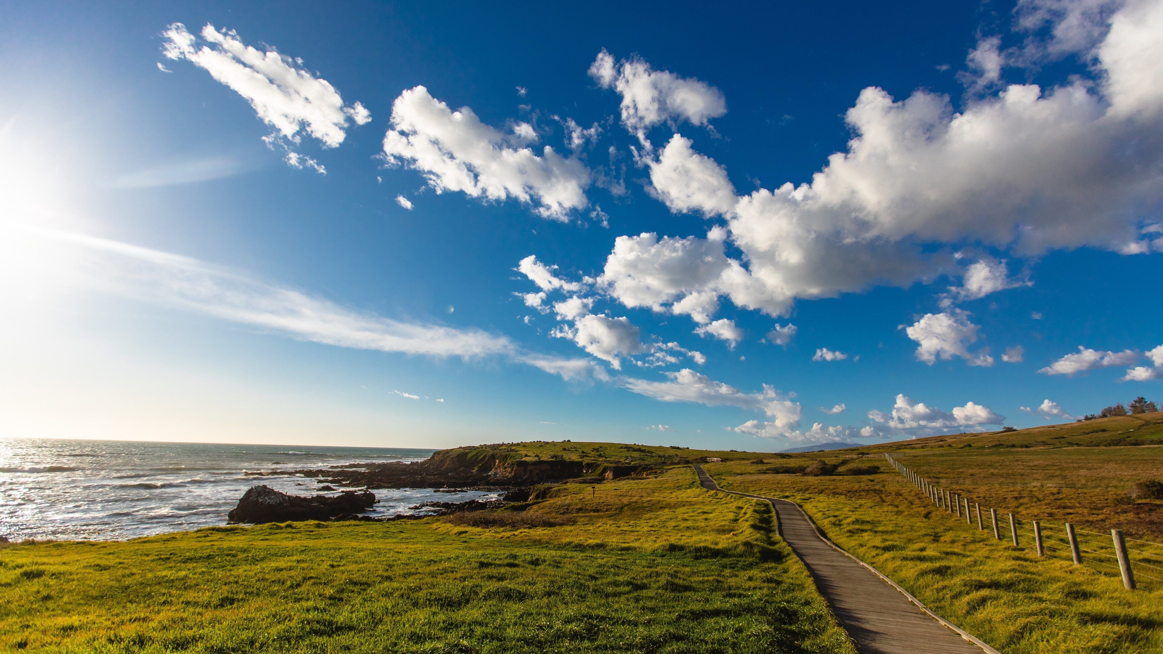 A coastal landscape with a grassy path, rocky coastline, and a clear blue sky with scattered clouds.