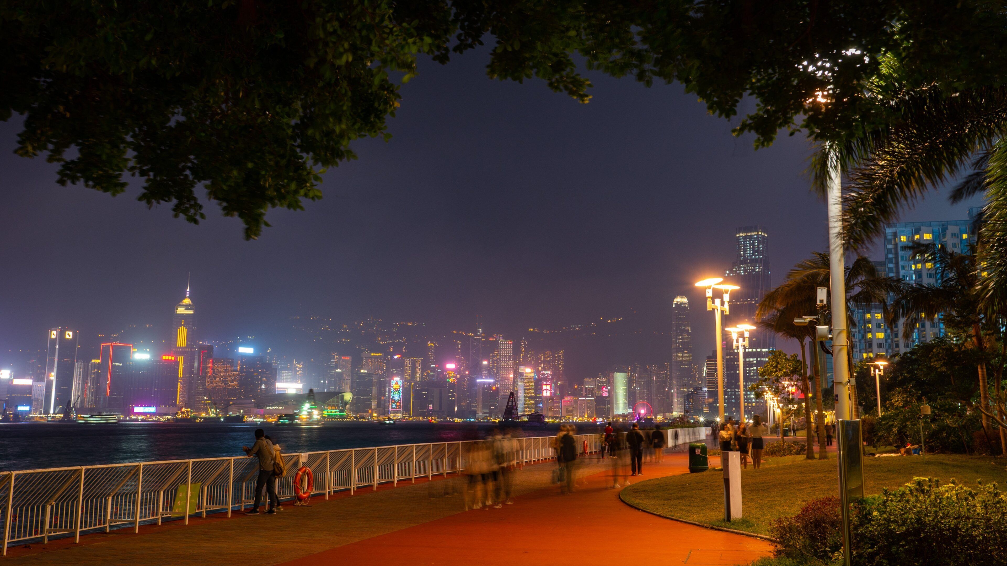 Hung Hom Promenade featuring night scenes and a city
