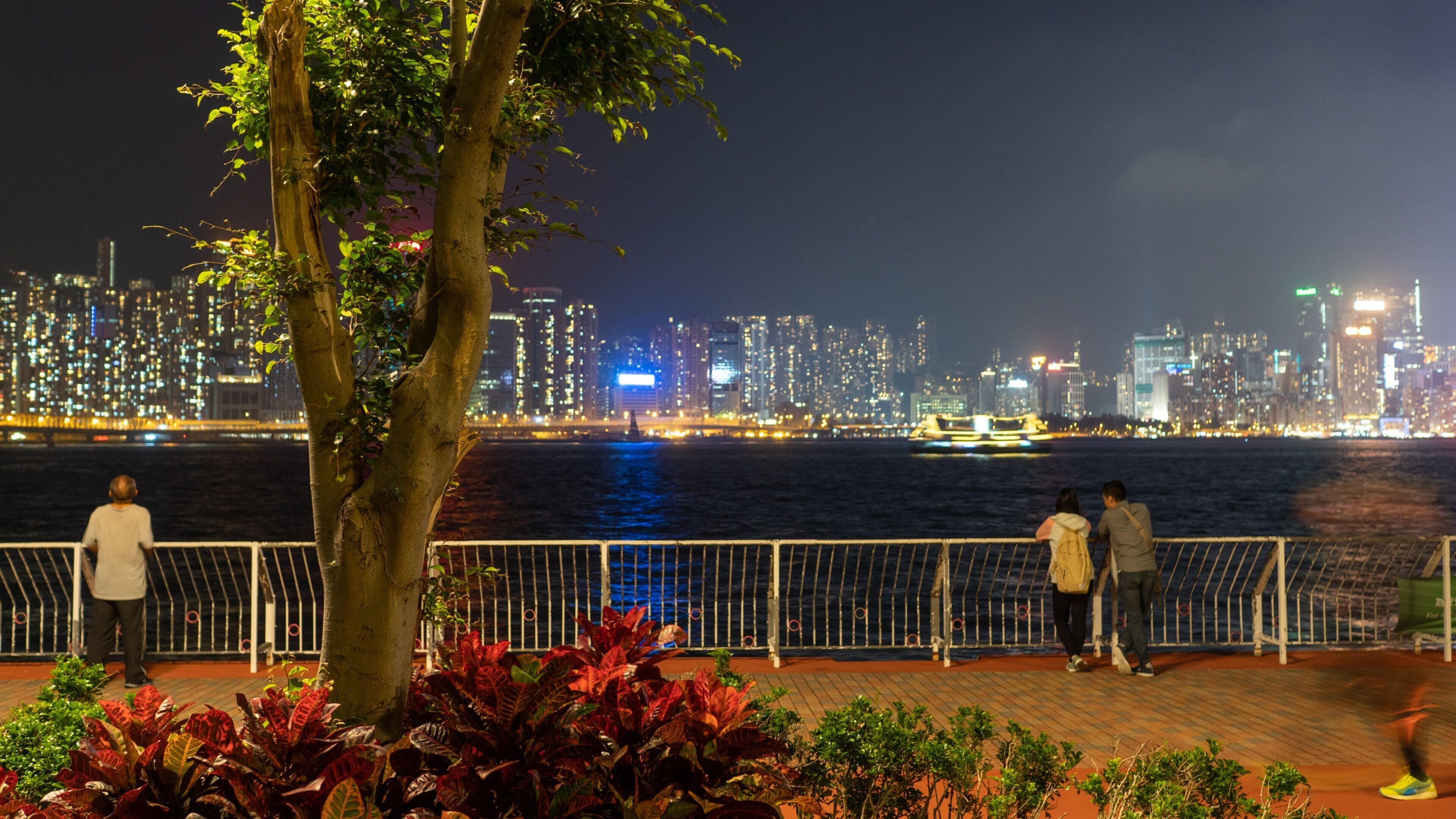 Hung Hom Promenade featuring a city, a park and night scenes