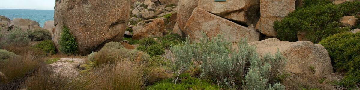 Fleurieu Peninsula featuring rugged coastline