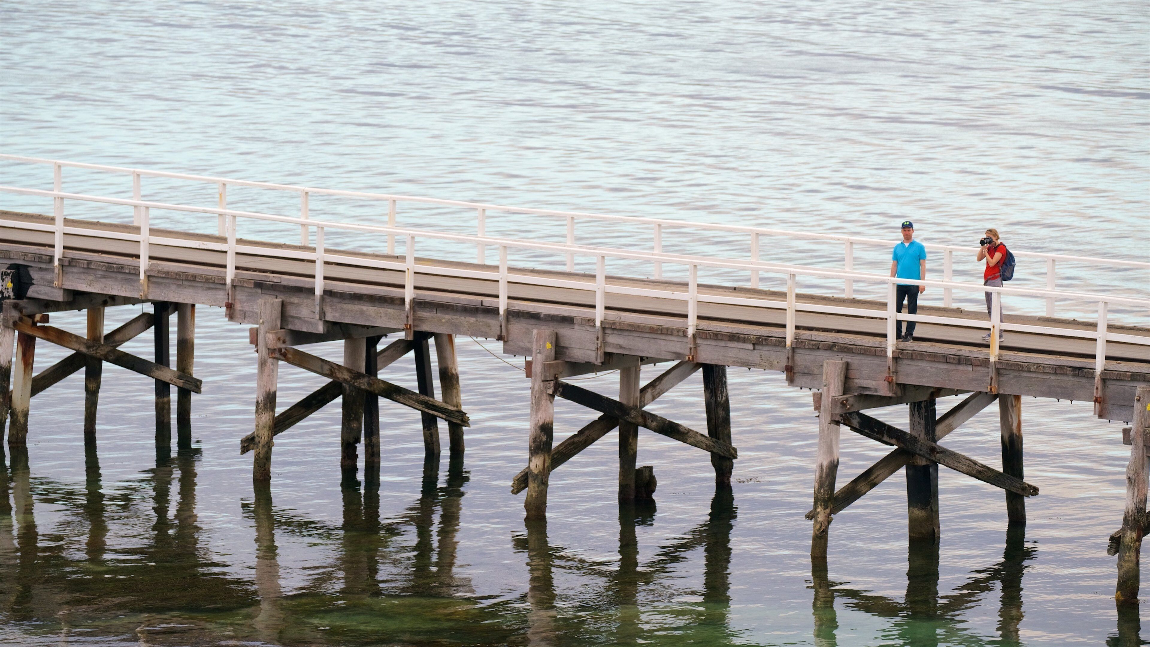 Fleurieu Peninsula showing general coastal views and a bridge as well as a couple