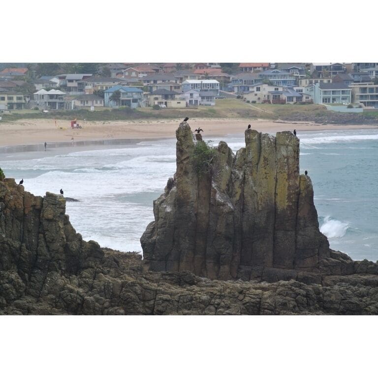 Love this place 🐳🐋🐬🌊