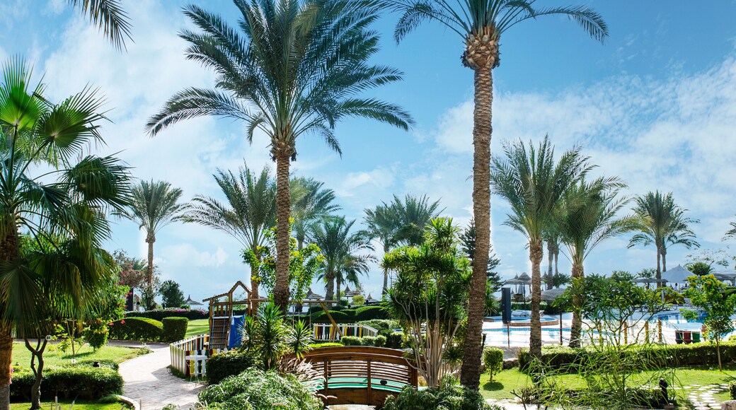 CACTI Park of the Palm Beaches