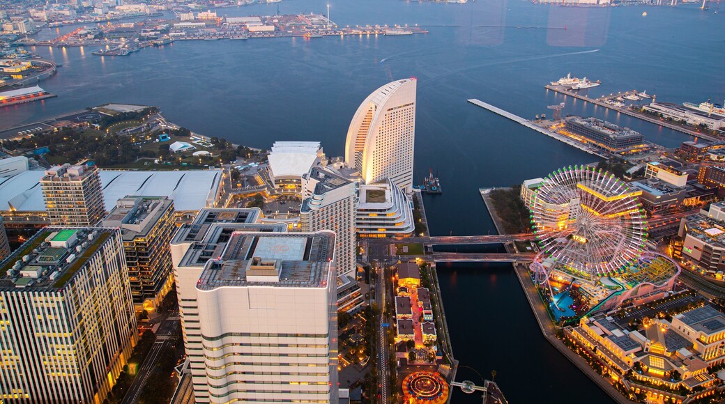 Sky Garden which includes a marina, a city and night scenes