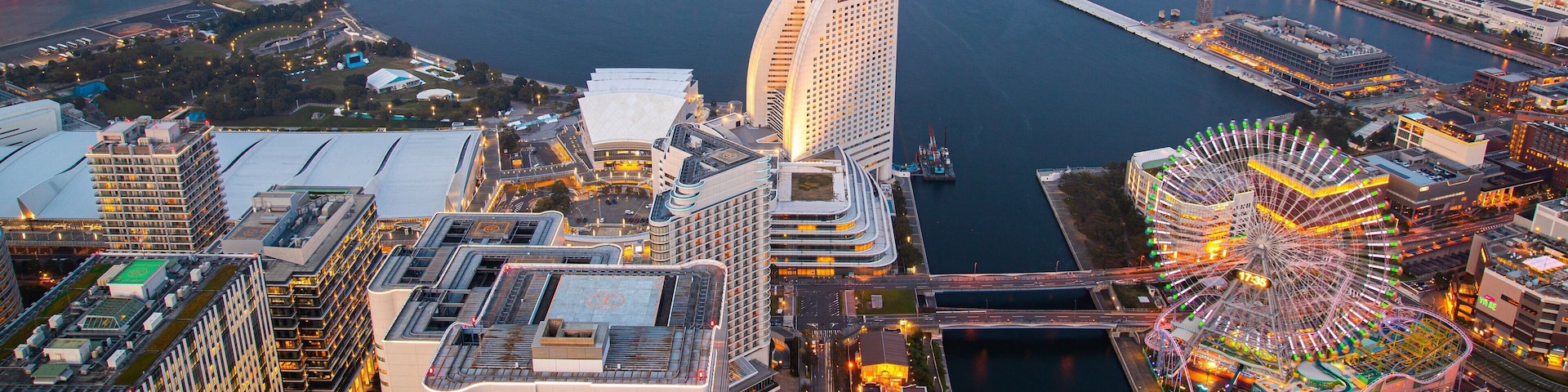 Sky Garden which includes a marina, a city and night scenes