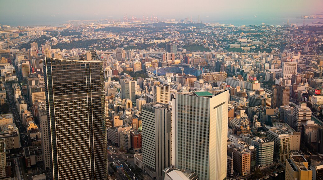 Sky Garden showing a sunset, a high rise building and a city