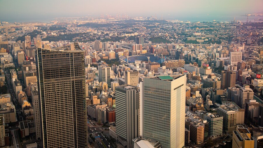 Sky Garden showing a sunset, a high rise building and a city