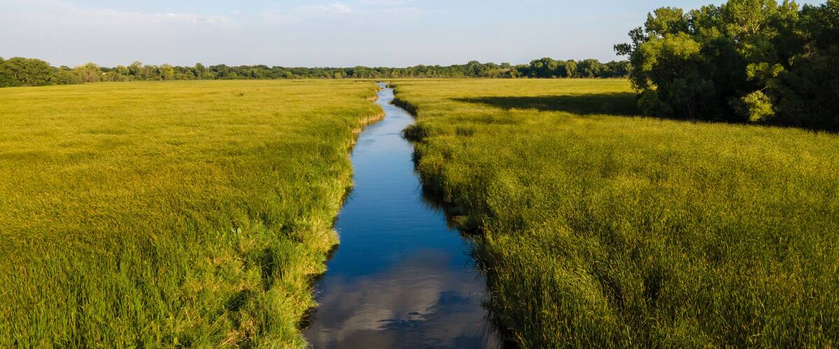 Flying along the 9 mile creek swamp river in Bloomington Minnesota. Aerial view of a beautiful scenic river landscape surrounded by thick green grass in the evening sun.