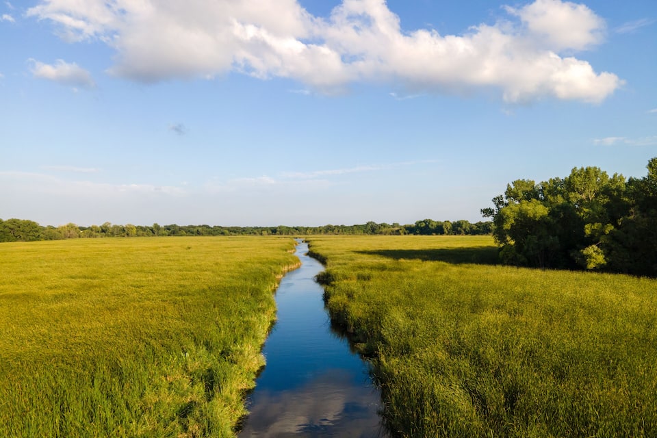 Een rivier die door een grasveld kronkelt, met bomen aan de rechterkant.