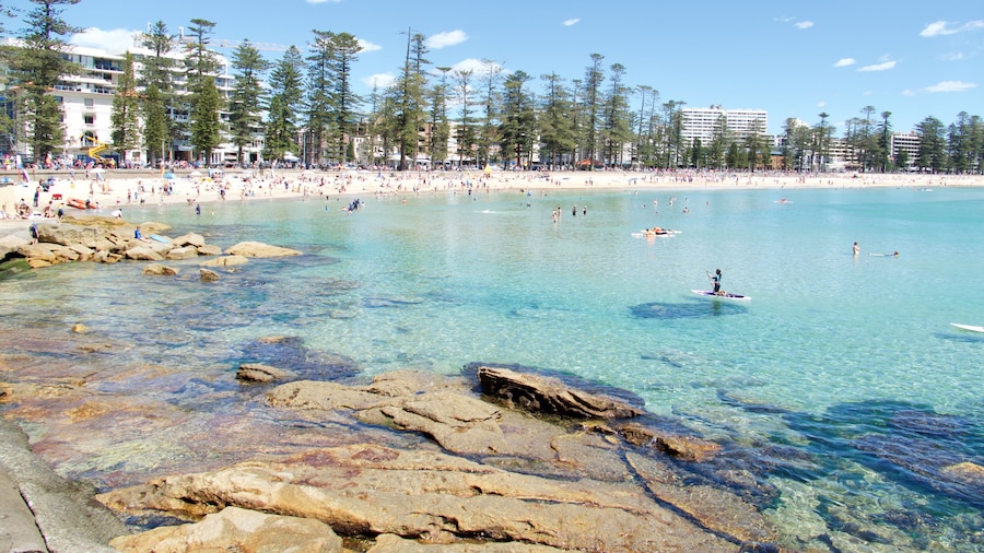 Shelly Beach