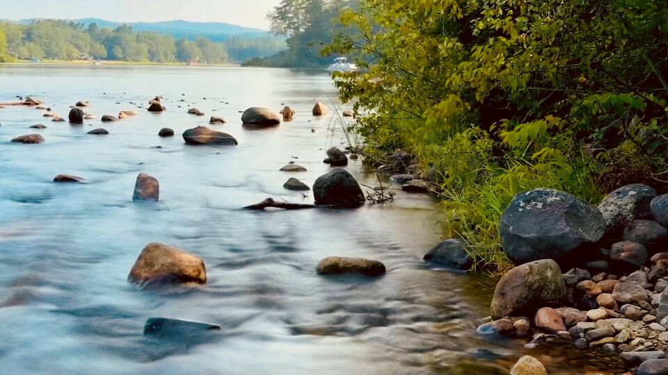 A river with rocks and greenery.