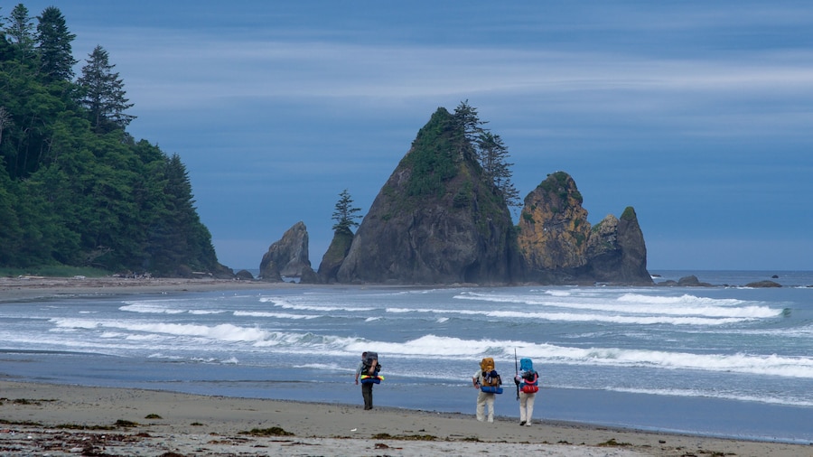 Shi Shi Beach and Point of the Arches, Olympic National Park, Washington