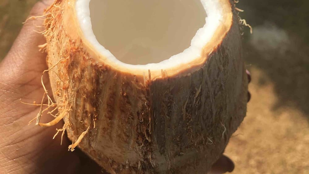 Fresh coconut