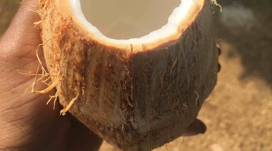 Fresh coconut