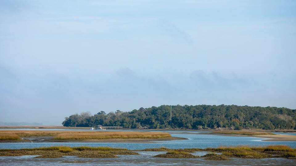 A coastal landscape with a sandy beach, grassy marshes, and a forested island in the distance.
