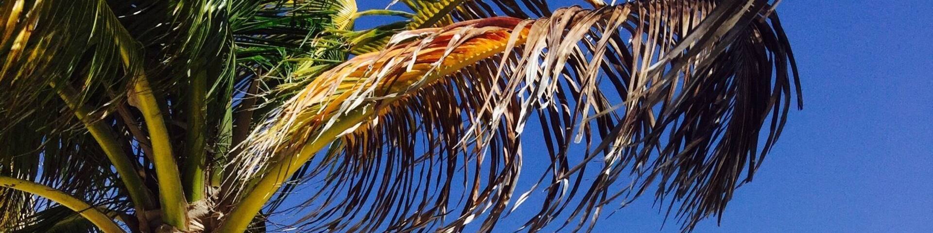 Isla Blanca,close to Cancun in my opinion this beach is better than Tulum beach , it's not commercial one Mexican guy recommended it