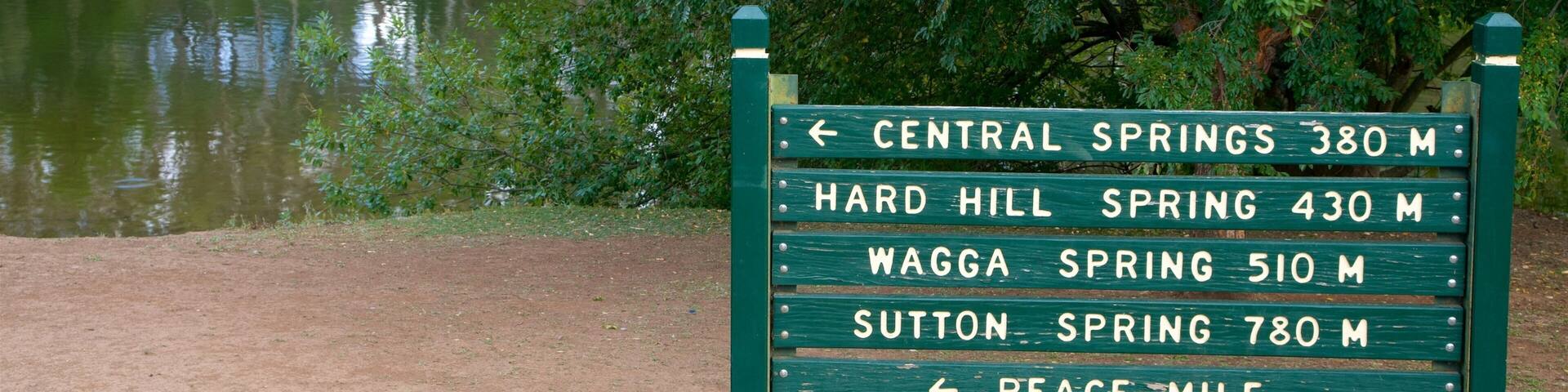 Lake Daylesford showing signage and a lake or waterhole