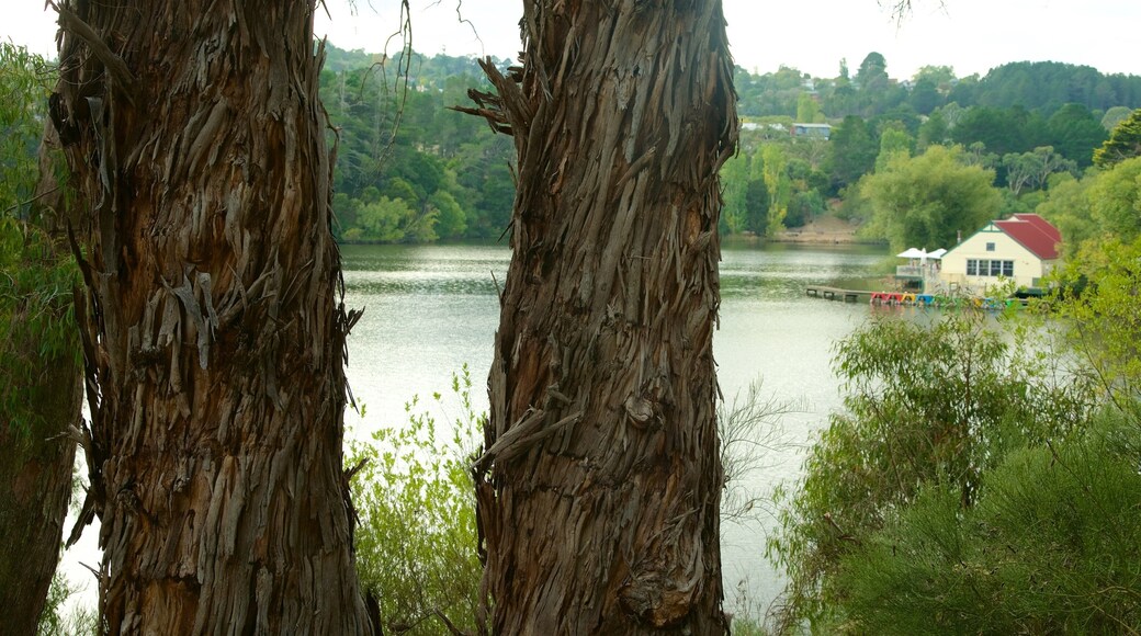 Lake Daylesford featuring a lake or waterhole