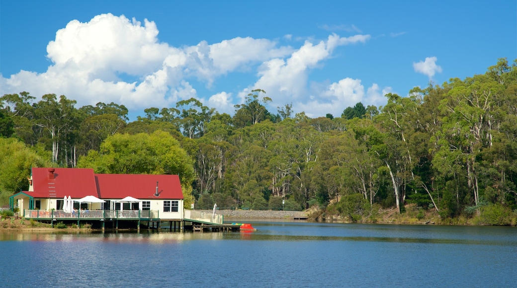 Daylesford showing a lake or waterhole and a house