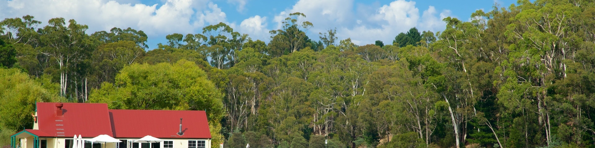 Daylesford showing a house and a lake or waterhole
