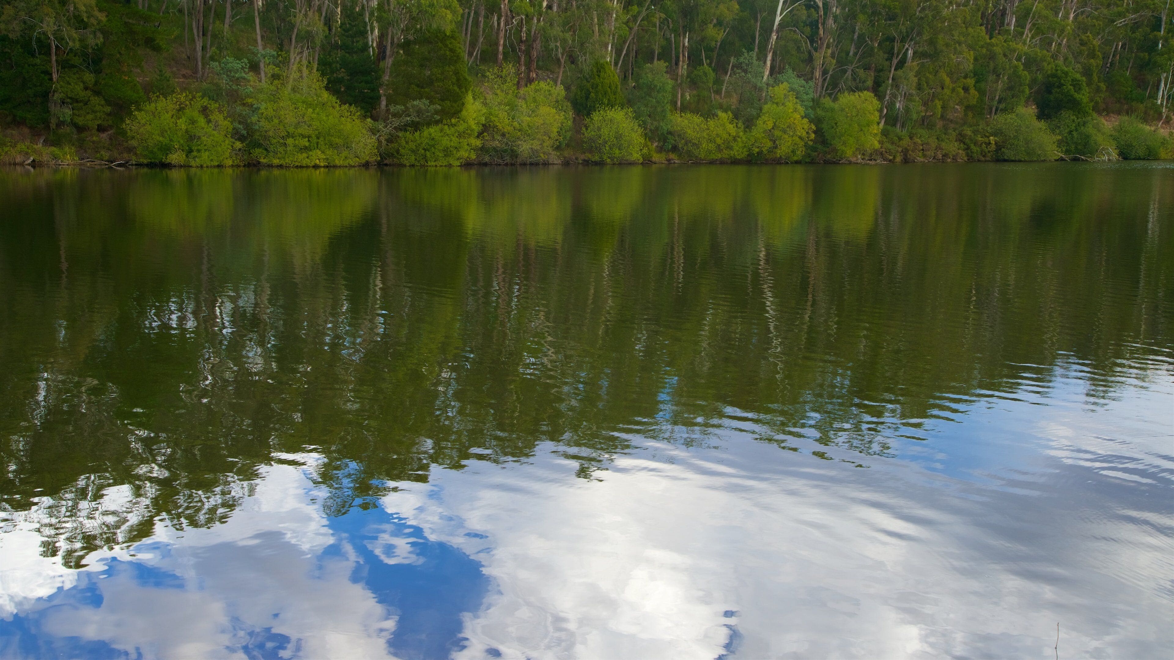 Lake Daylesford featuring a river or creek
