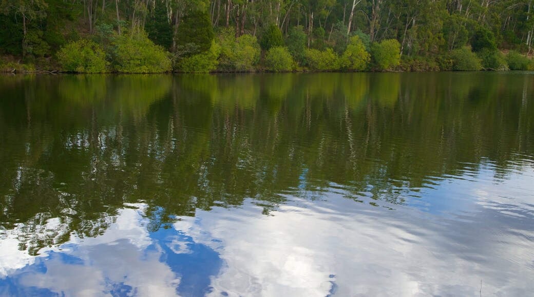 Lake Daylesford featuring a river or creek