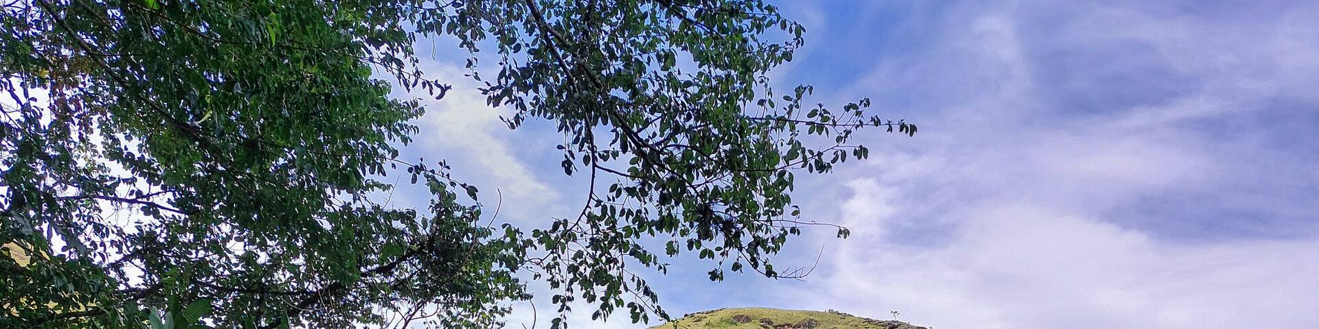Sororoca's Beach in Angra dos Reis, Brazil
