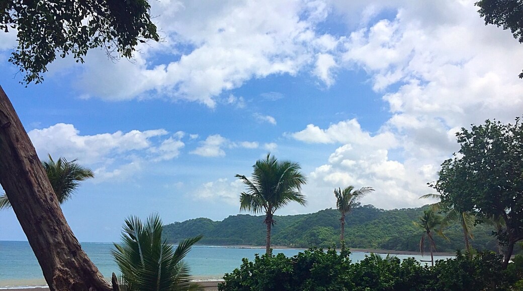 The view from my lounger at Sansara