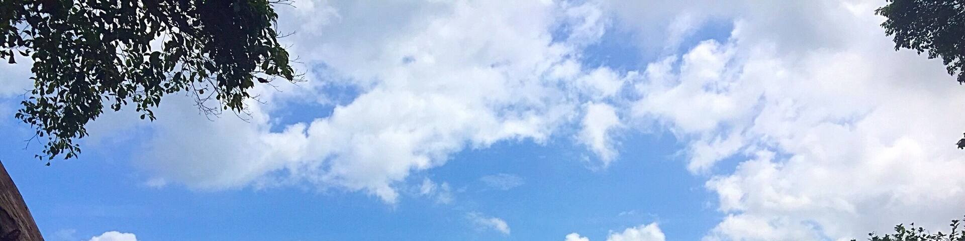 The view from my lounger at Sansara