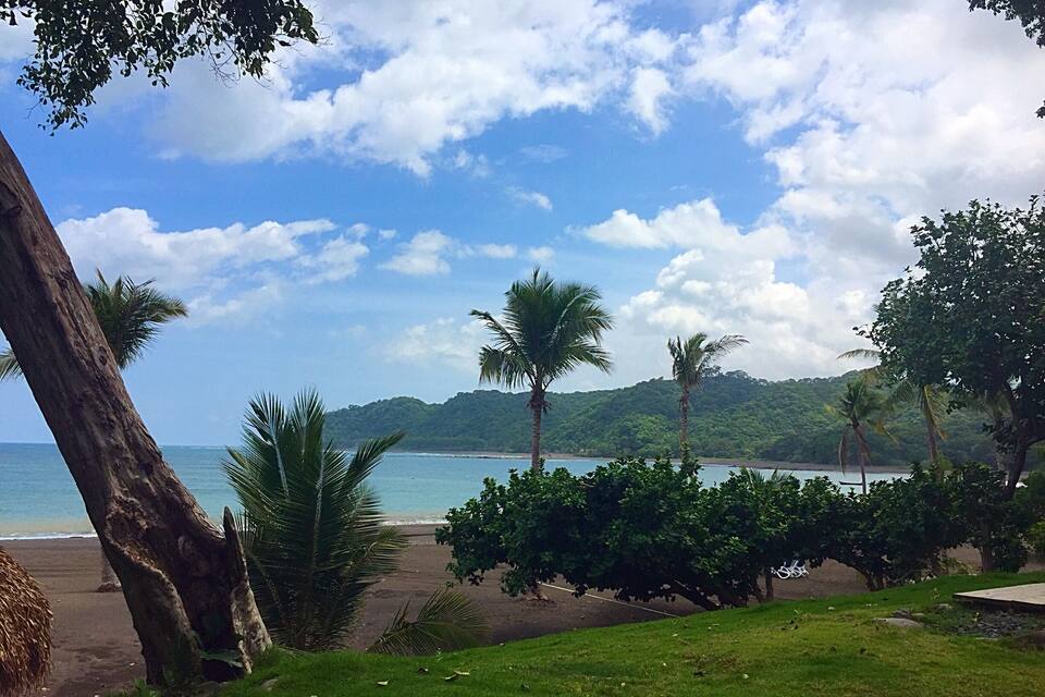 Ein Strand mit Palmen und einer grasbewachsenen Fläche im Vordergrund, ein klarer Himmel und eine hügelige Landschaft im Hintergrund.
