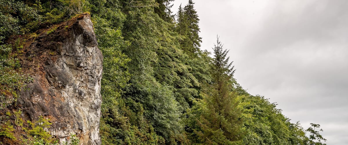 Neah Bay featuring tranquil scenes and forests