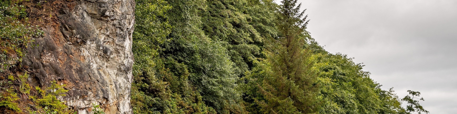 Neah Bay featuring tranquil scenes and forests