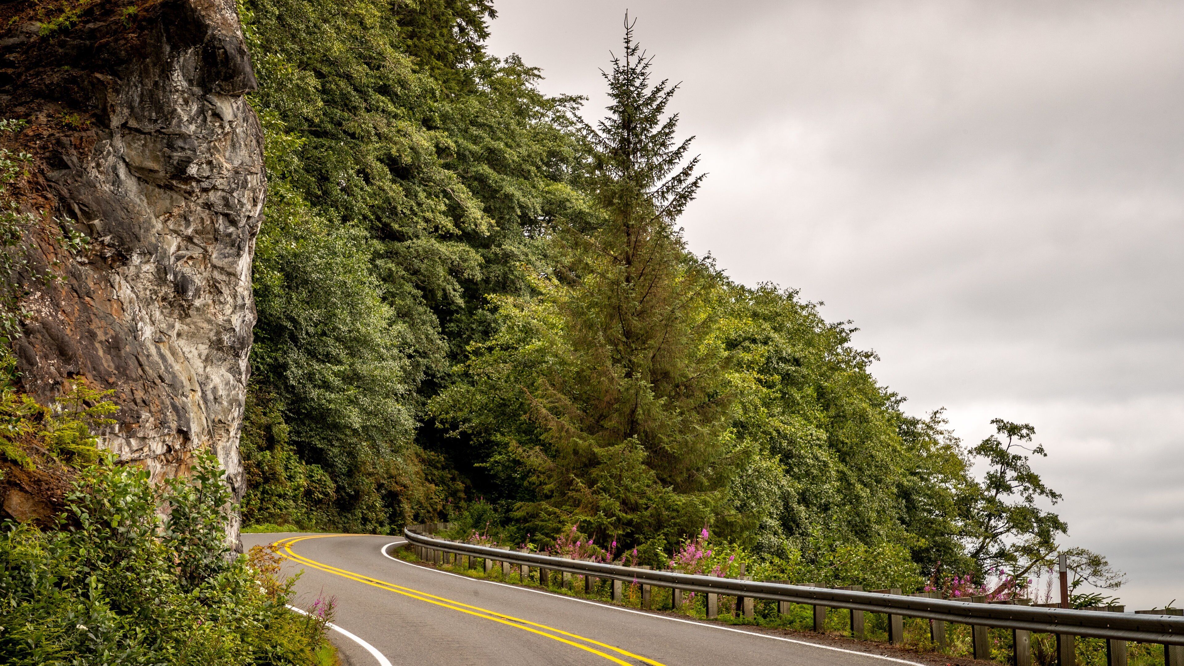 Neah Bay showing forests and tranquil scenes