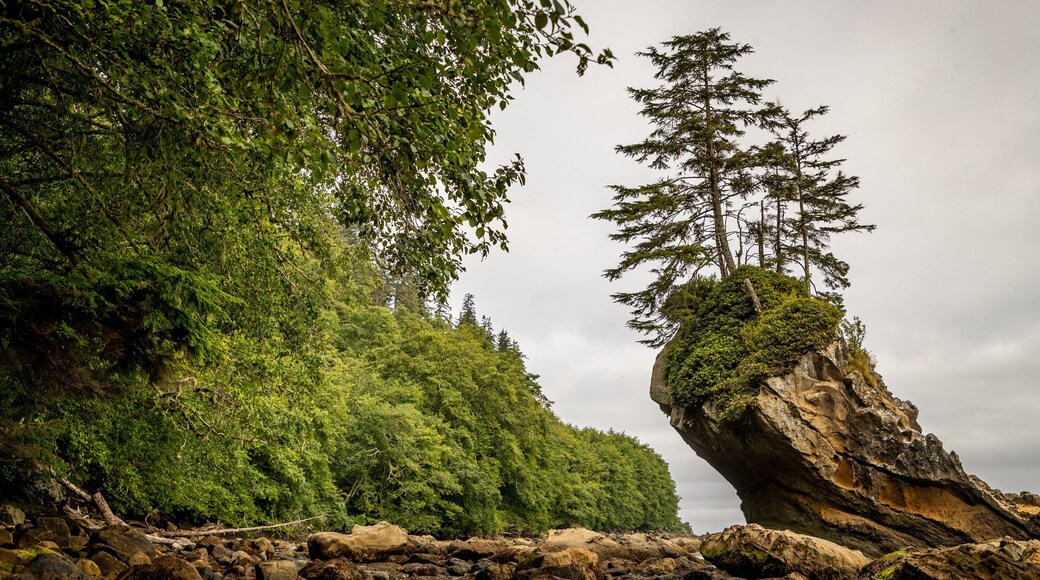 Neah Bay showing general coastal views and rocky coastline