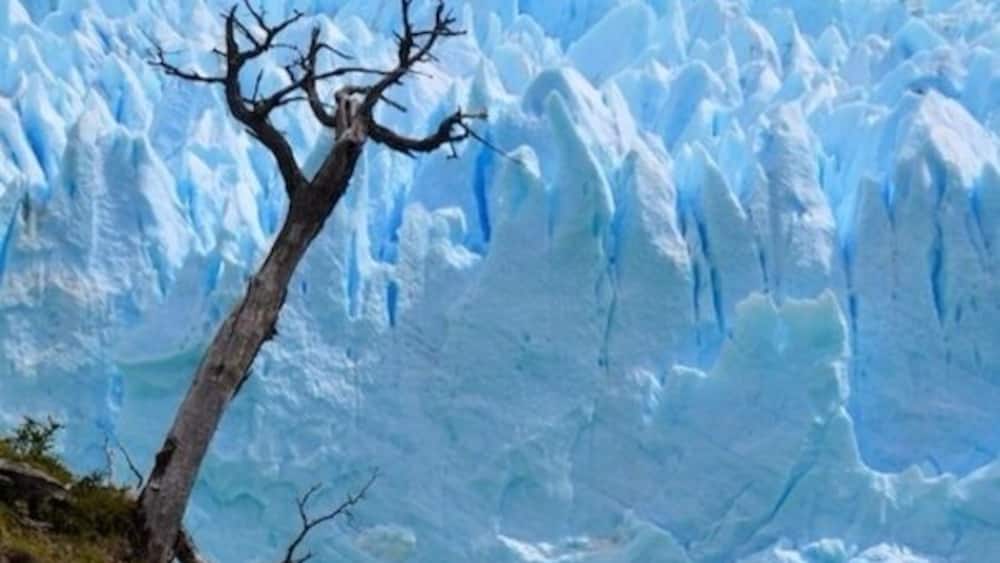 Perito Moreno Glacier, Argentine patagonia
