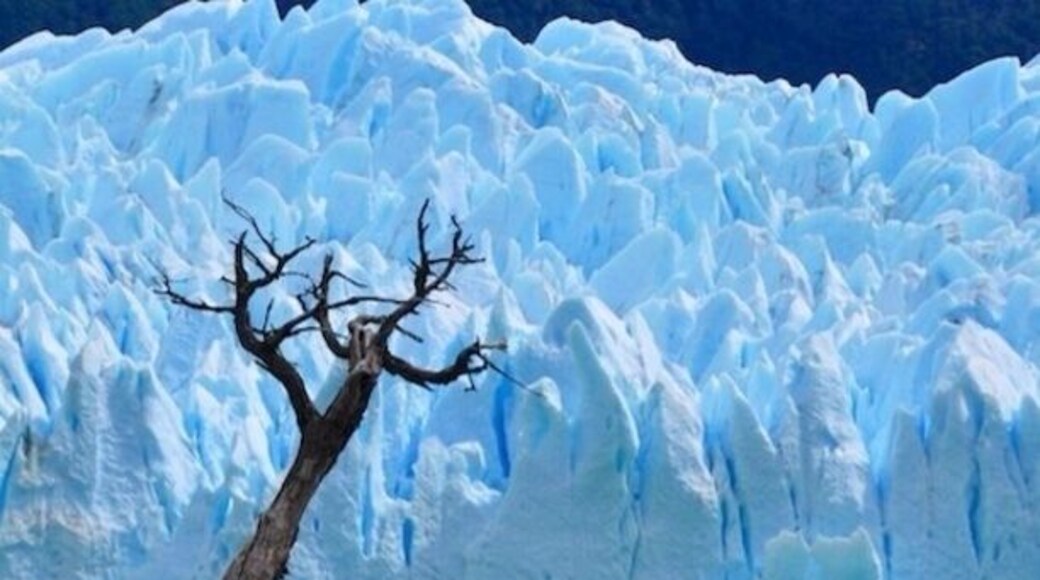 Perito Moreno Glacier, Argentine patagonia