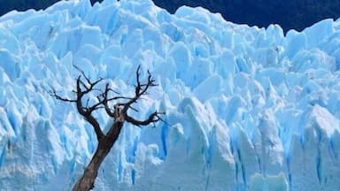 Perito Moreno Glacier, Argentine patagonia