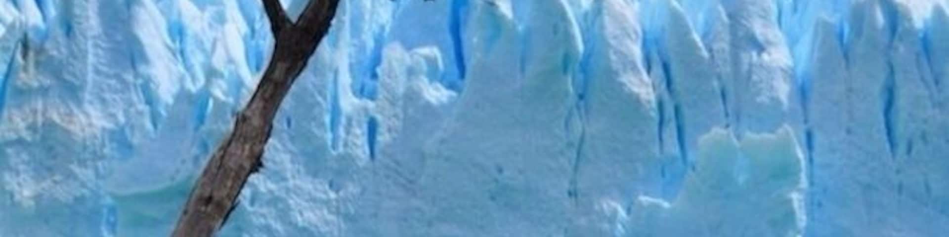 Perito Moreno Glacier, Argentine patagonia