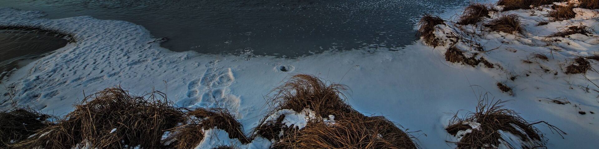 ARNARSTAPI Iceland
Mt. Stapafell, a beautiful harbour, clifftop walks, and a sight in every direction.
#BVSBlue