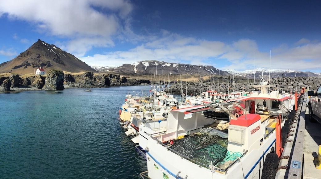 Hellnar is located at Snæfellsnes penesuella in a beautiful National park.
I can take you there with
Www.icelandisniceland.com