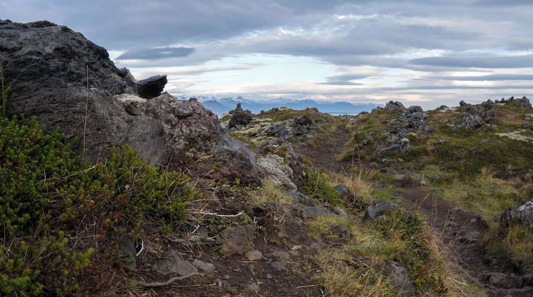 The walk from Arnarstapi to Hellnar (or Hellnar to Arnarstapi) is a great short hike (~2.5km) right off the ring road on Snæfellsnes Peninsula. In Arnarstapi the trail is marked to the right off the main path past the stone monument and follows the cliffside. The return trip on the lava splattered trail exposes the mountains and the cliffs from all new angles.